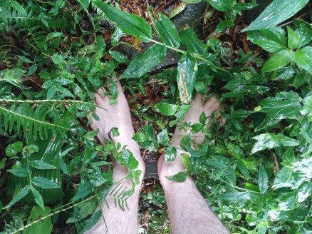 Caminhando descalço na chuva